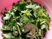 蒜泥地瓜叶的做法步骤1